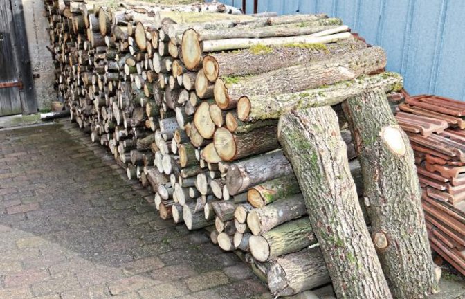 Zwei Aufrechte, die alles beisammen halten. Gesehen in Schützingen.  Foto: Rücker