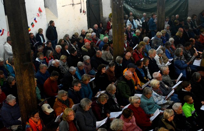 Mehr als 200 Menschen kommen in die Illinger Kelter, um gemeinsam zu singen.  
