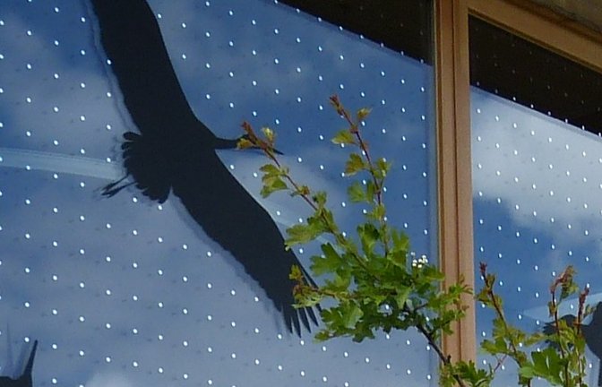 Schutz durch Folie mit Punkteraster.  <span class='image-autor'>Foto: p</span>