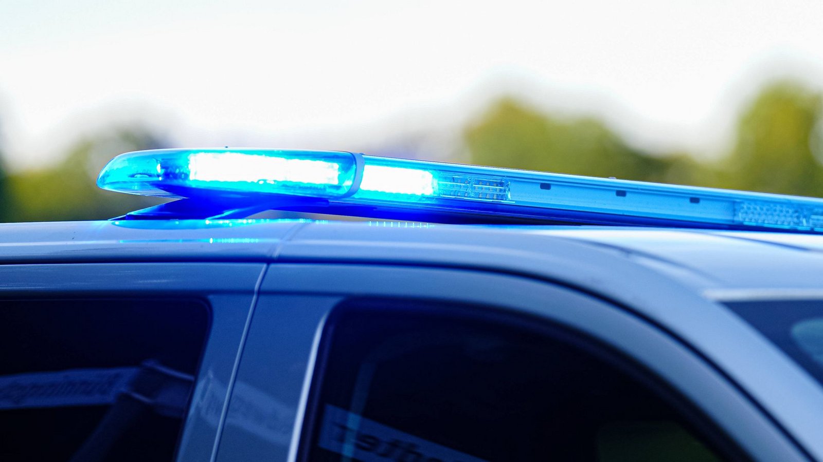 Die Polizei sucht nach einem Unbekannten, der eine Katze zwischen Tomatenranken in Dettingen im Kreis Reutlingen erhängt haben soll (Archivbild).Foto: IMAGO/Eibner/IMAGO/Eibner-Pressefoto/Marcel von Fehrn Die Polizei sucht nach einem Unbekannten, der eine Katze zwischen Tomatenranken in Dettingen im Kreis Reutlingen erhängt haben soll (Archivbild).Foto: IMAGO/Eibner/IMAGO/Eibner-Pressefoto/Marcel von Fehrn