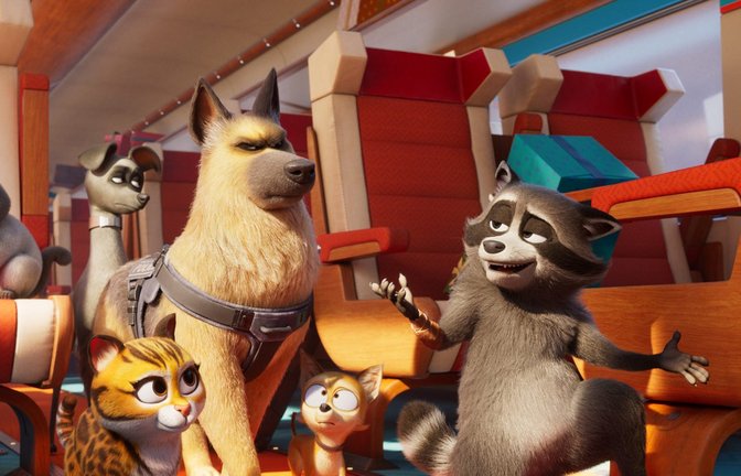 Im Film "Tierisch abgefahren" spielen Tiere in einem Zug die Hauptrolle.<span class='image-autor'>Foto: TAT productions, Apollo Films Distribution, France 3 Cinéma, Kinologics</span>