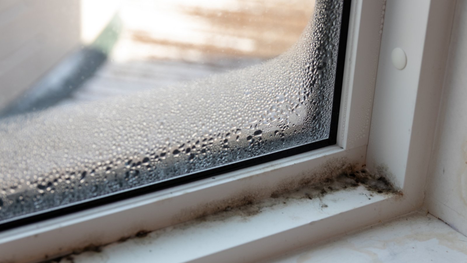 Im Winter steigt die Schimmelgefahr aufgrund der kalten Außentemperaturen.Foto: IHX / shutterstock.com Im Winter steigt die Schimmelgefahr aufgrund der kalten Außentemperaturen.Foto: IHX / shutterstock.com