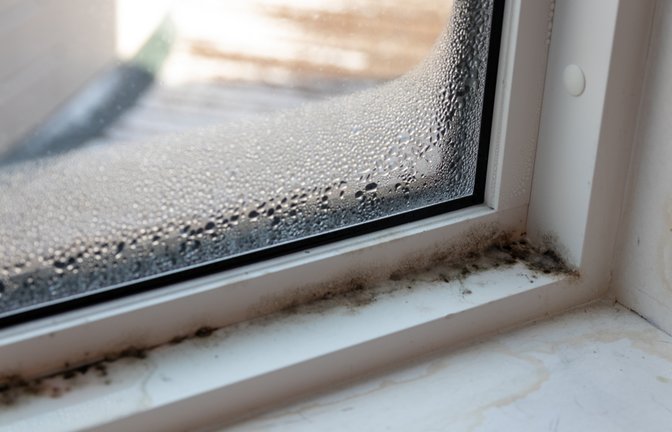 Im Winter steigt die Schimmelgefahr aufgrund der kalten Außentemperaturen.<span class='image-autor'>Foto: IHX / shutterstock.com</span>