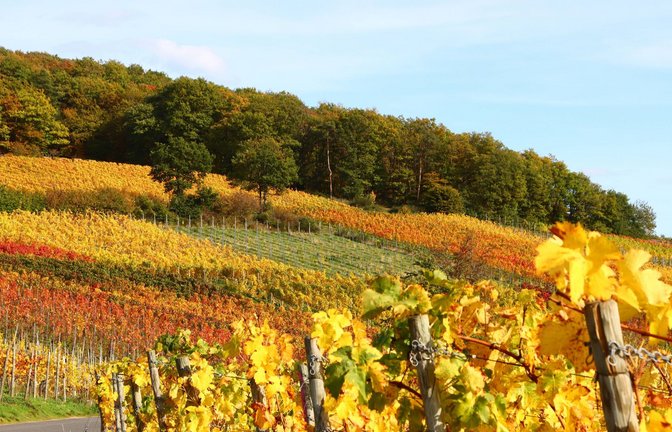 Goldener Oktober voraus.<span class='image-autor'>Foto: IMAGO/Eibner</span>
