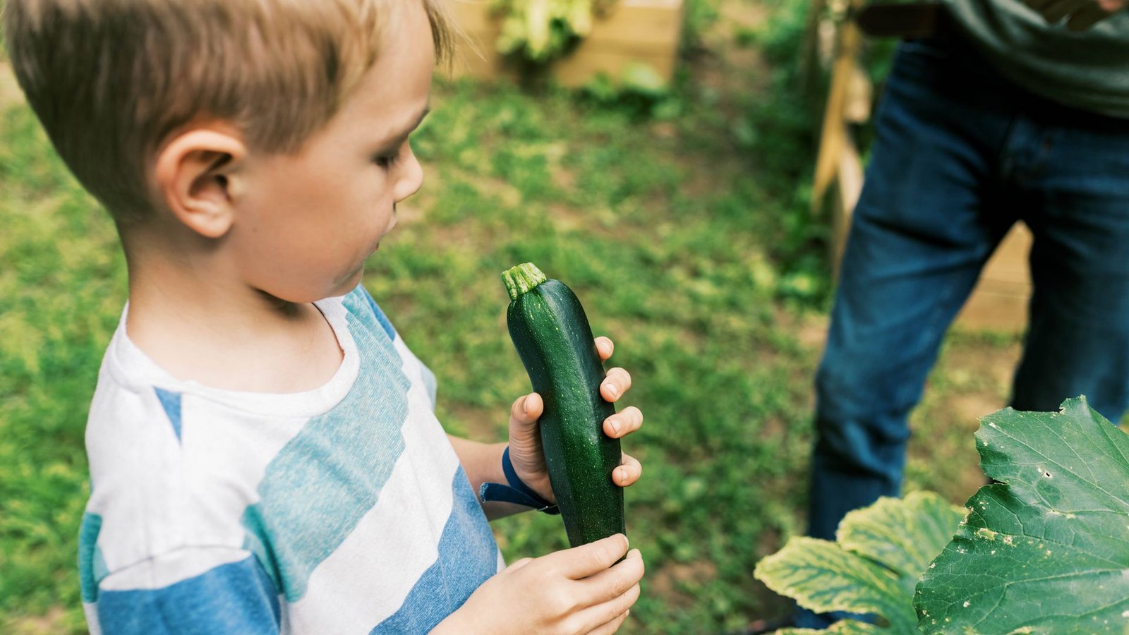 Die Wachstums- und Ernährungswerte sind bei vegetarisch ernährten Kindern dieselben wie bei Kindern, die Fleisch essen.Foto: imago/Cavan Images Die Wachstums- und Ernährungswerte sind bei vegetarisch ernährten Kindern dieselben wie bei Kindern, die Fleisch essen.Foto: imago/Cavan Images