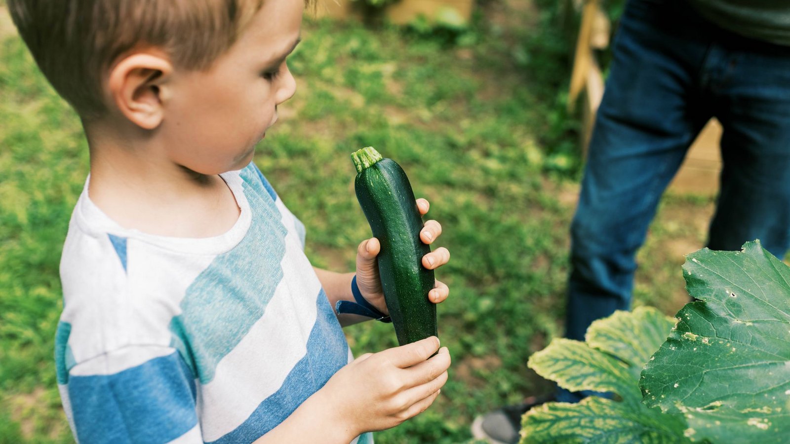 Die Wachstums- und Ernährungswerte sind  bei vegetarisch ernährten Kindern dieselben wie bei Kindern, die Fleisch essen.Foto: imago/Cavan Images