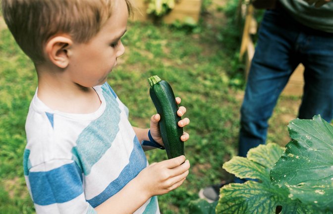 Die Wachstums- und Ernährungswerte sind  bei vegetarisch ernährten Kindern dieselben wie bei Kindern, die Fleisch essen.<span class='image-autor'>Foto: imago/Cavan Images</span>