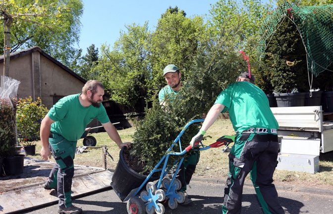 Hochbetrieb herrscht beim Herrichten der Messestände, in der Sonne wird schon kräftig geschwitzt.