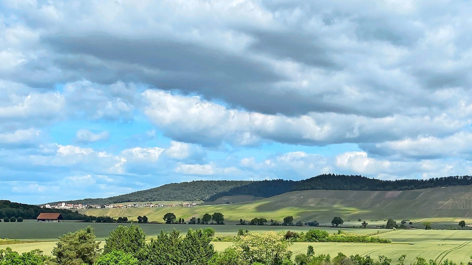 Die Bürgerinitiative befürchtet die Zerstörung der Natur- und Kulturlandschaft auf dem Alleenfeld. Foto: Bürgerinitiative Die Bürgerinitiative befürchtet die Zerstörung der Natur- und Kulturlandschaft auf dem Alleenfeld. Foto: Bürgerinitiative