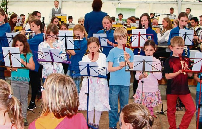 Alle Aktiven des Musikvereins Oberriexingen auf einer Bühne vereint. Fotos: Gergen