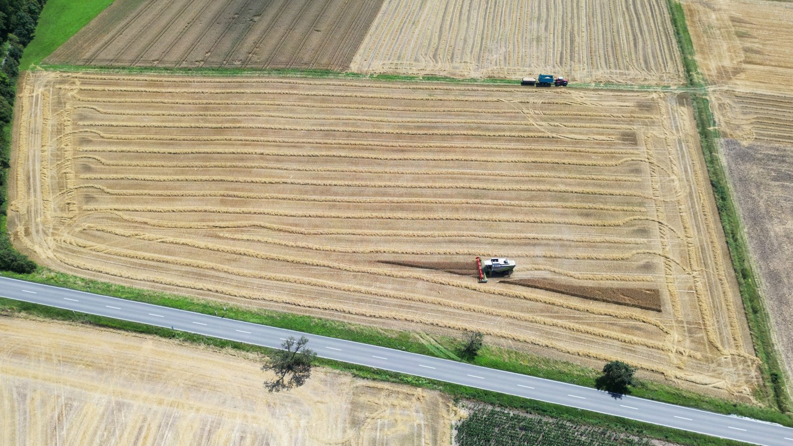 Die Ernte ist eingefahren, schon gibt es die erste Bilanz. Im Enzkreis fällt sie gemischt aus – es gab zu wenige Sonnenstunden. Fotos: Küppers