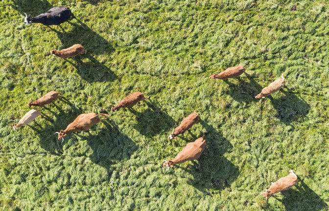 Foto: imago/Jochen Eckel