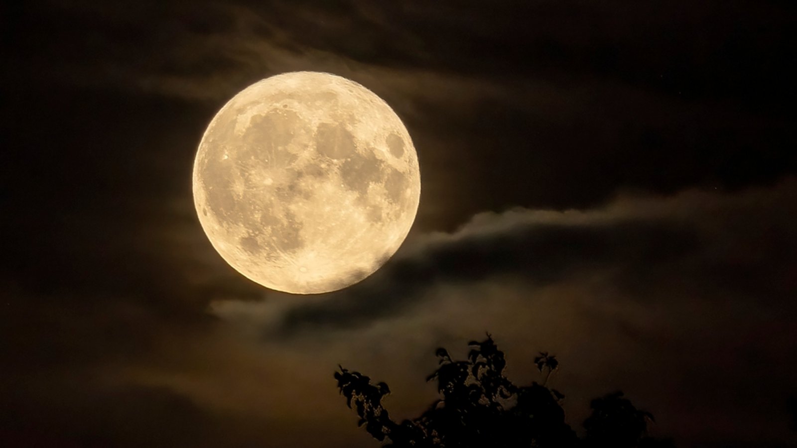 Der November Vollmond ist der erdnächste des Jahres 2025 – ein Supermond. Er wirkt größer als gewöhnlich und leuchtet sehr hell. Zu dieser Zeit sehen Sie ihn am besten.Foto: DigitalPearls / Shutterstock.com Der November Vollmond ist der erdnächste des Jahres 2025 – ein Supermond. Er wirkt größer als gewöhnlich und leuchtet sehr hell. Zu dieser Zeit sehen Sie ihn am besten.Foto: DigitalPearls / Shutterstock.com