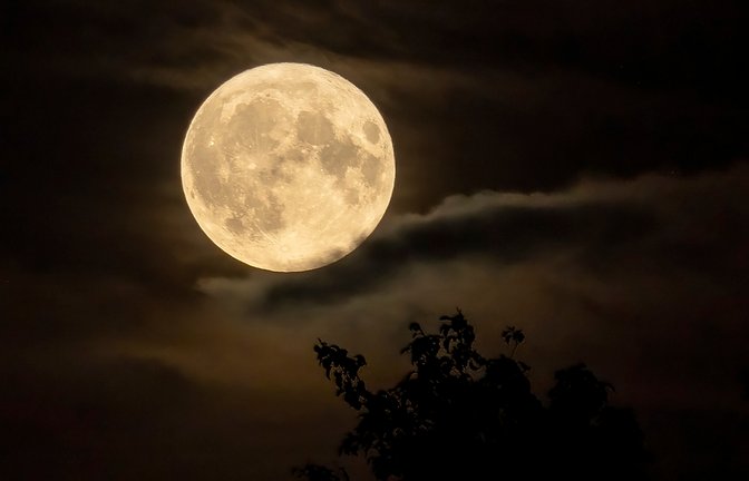 Der November Vollmond ist der erdnächste des Jahres 2025 – ein Supermond. Er wirkt größer als gewöhnlich und leuchtet sehr hell. Zu dieser Zeit sehen Sie ihn am besten.<span class='image-autor'>Foto: DigitalPearls / Shutterstock.com</span>