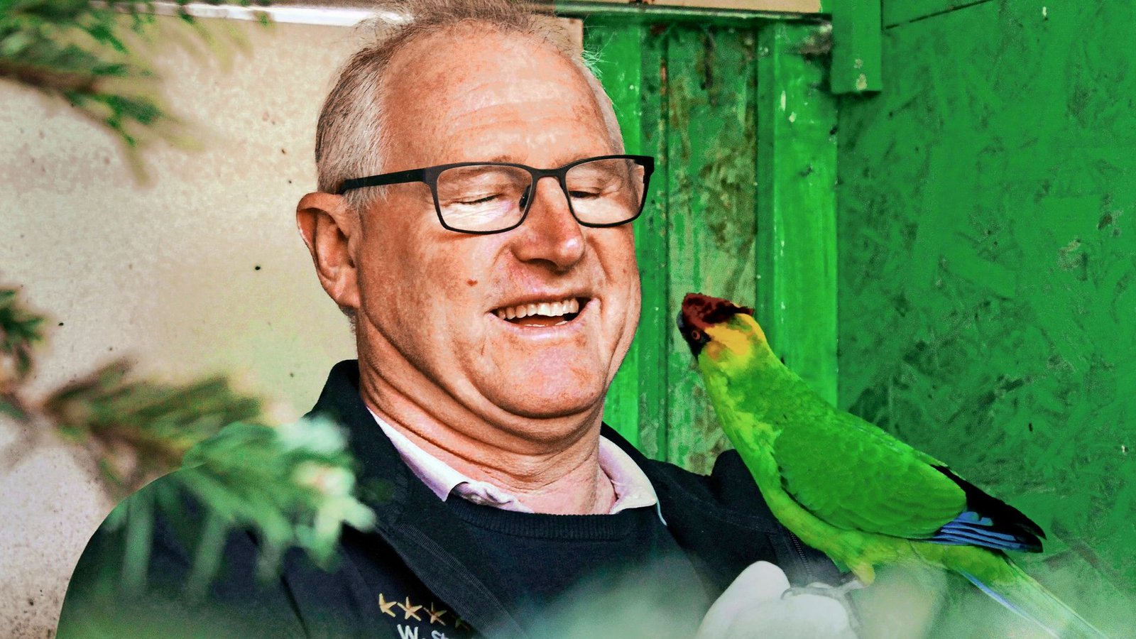 Wolfgang Stauß mit einem HornsittichFoto: Uli Fricker Wolfgang Stauß mit einem HornsittichFoto: Uli Fricker