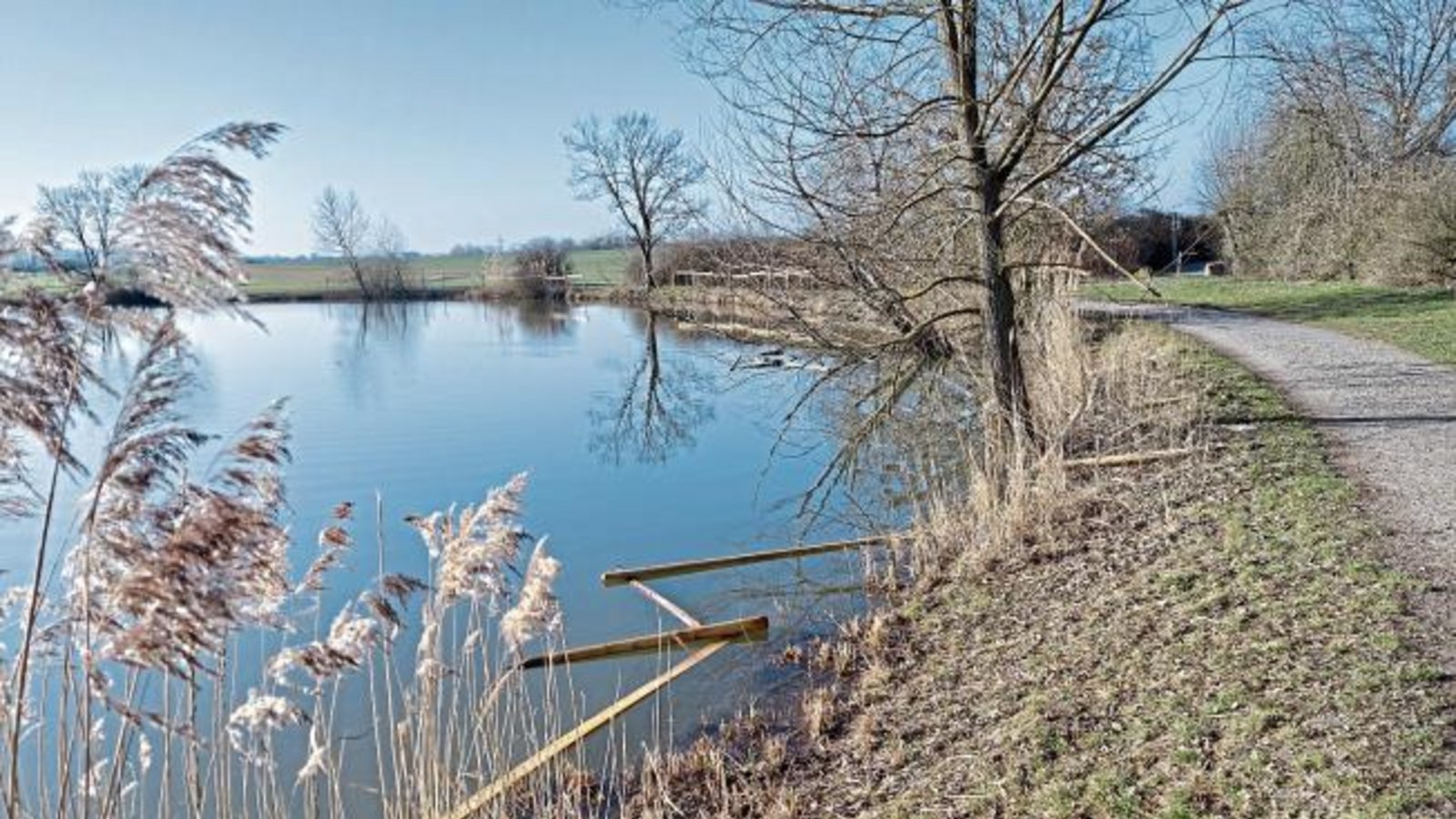 Die Zäune zum Schutz der Uferbepflanzung am Ensinger See hatten nur eine kurze Lebensdauer – siehe auch Leserbrief von Montag. Foto: p Die Zäune zum Schutz der Uferbepflanzung am Ensinger See hatten nur eine kurze Lebensdauer – siehe auch Leserbrief von Montag. Foto: p