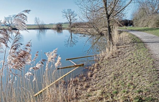 Die Zäune zum Schutz der Uferbepflanzung am Ensinger See hatten nur eine kurze Lebensdauer – siehe auch Leserbrief von Montag. Foto: p