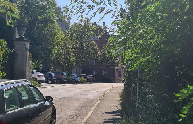 Wo beginnt Vaihingen? Das Ortsschild ist für Autofahrer in der Straße „Im Mühlkanal“ momentan kaum noch zu sehen. Manch einer fährt hier deshalb deutlich zu schnell in die Stadt. Denn ab hier gilt Tempo 50.  <span class='image-autor'>Foto: Müller</span>