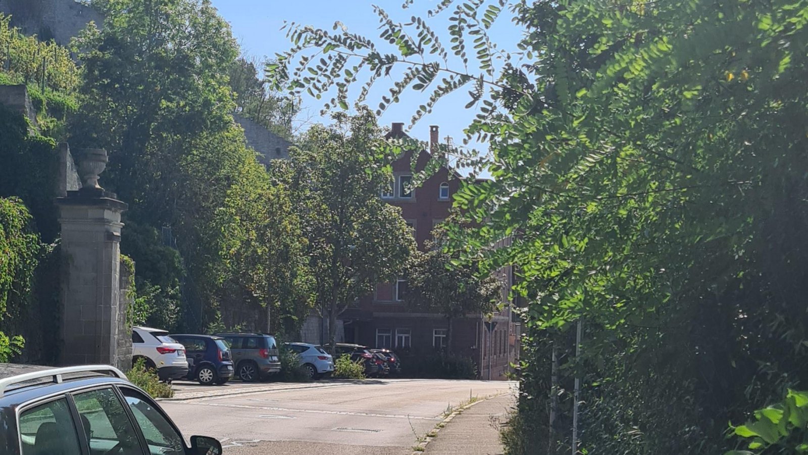 Wo beginnt Vaihingen? Das Ortsschild ist für Autofahrer in der Straße „Im Mühlkanal“ momentan kaum noch zu sehen. Manch einer fährt hier deshalb deutlich zu schnell in die Stadt. Denn ab hier gilt Tempo 50.  Foto: Müller