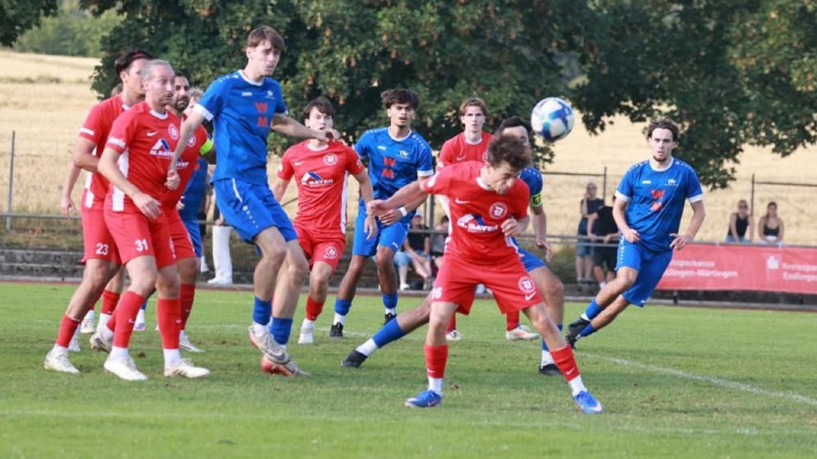 Das Finale zwischen dem TSV Denkendorf (in Blau) und dem TSV Deizisau ist spannend, intensiv und hochklassig.Herbert Rudel