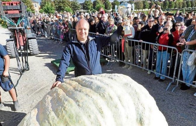 Bei strahlendem Sonnenschein wurden am Sonntag im Blühenden Barock in Ludwigsburg Deutschlands schwerste Kürbisse gewogen. Dabei stellte Matthias Würsching aus Einhausen (Hessen) einen neuen Rekord auf. Sein Kürbis der Sorte Atlantic Giant wog stolze 901 