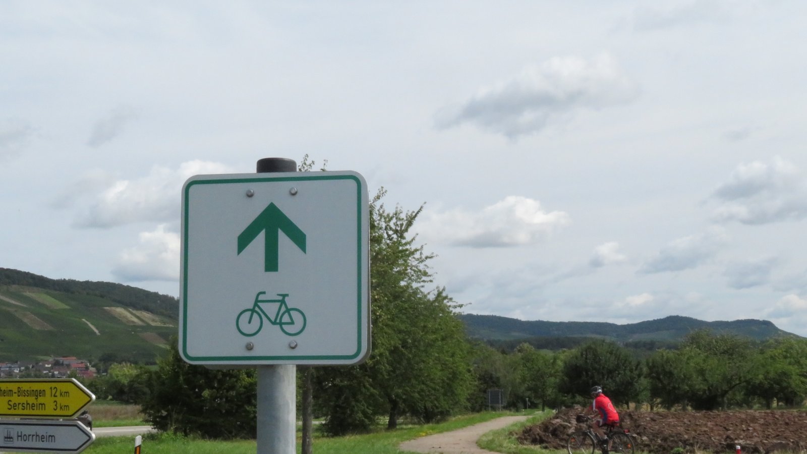 Bei Horrheim über den Kreisverkehr. Fotos: Arning