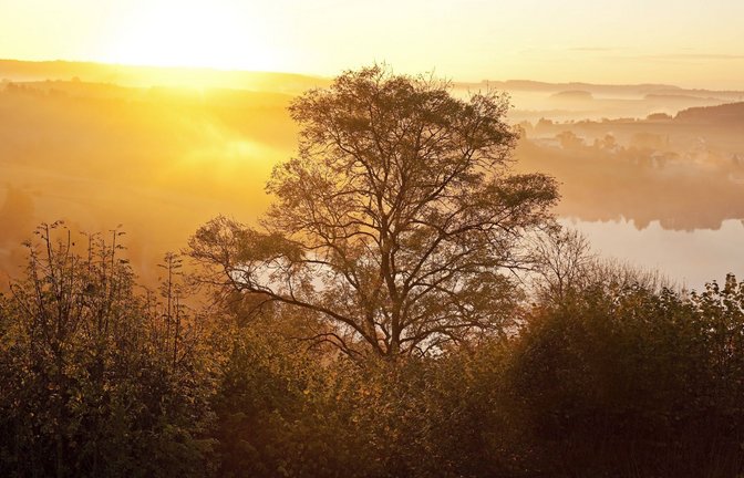Schalkenmehrer Maar nahe Daun in der Vulkaneifel im Herbst bei Sonnenaufgang.<span class='image-autor'>Foto: Imag/Zoonar</span>