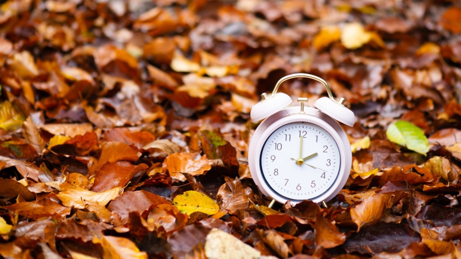 Warum gibt es die Zeitumstellung im Frühjahr und Herbst?Foto: Berit Kessler/ Shutterstock