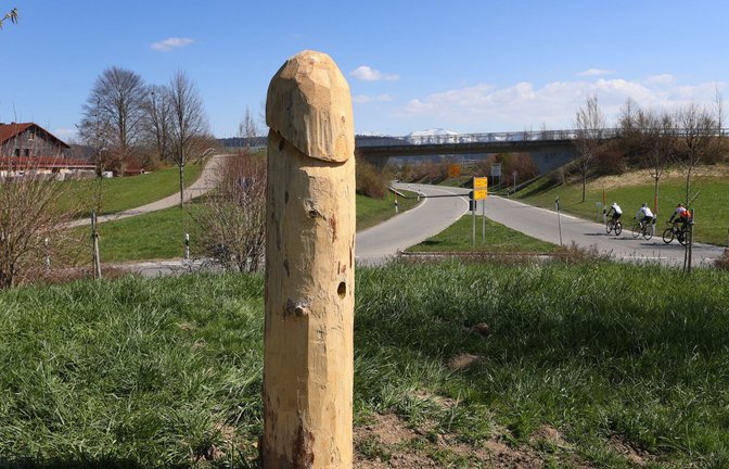 Der mysteriöse Holzpenis von Heimenkirch im Jahr 2021. Nun sind die Phallus-Darstellungen zurück.<span class='image-autor'>Foto: dpa</span>