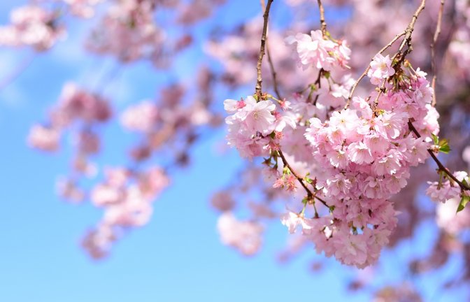 Wann wird es wieder wärmer? Ein Überblick über die Wetterentwicklung in Deutschland: Von frostigen Nächten und steigenden Temperaturen im April.<span class='image-autor'>Foto: OMatu / Shutterstock.com</span>