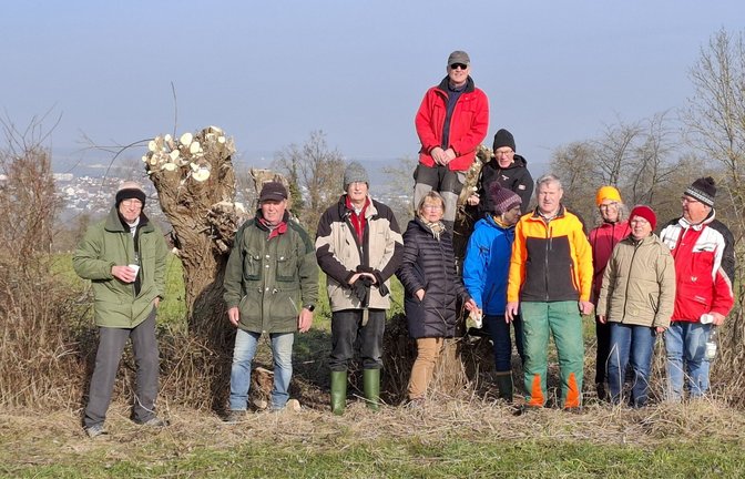 Fleißige Helfer bei der Kopfweidenpflege durch die Enzweihinger Älbler.  <span class='image-autor'>Foto: p</span>