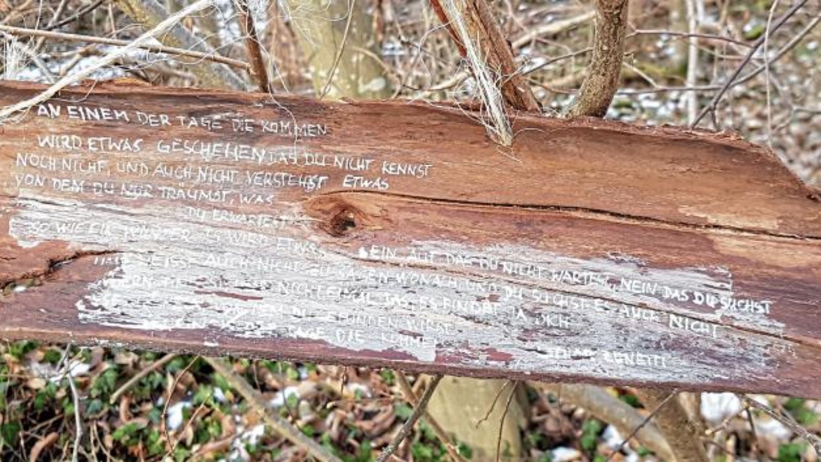 Poesie als Hoffnungsschimmer und Seelenwärmer im winterlichen Reutwald in Oberriexingen. Dort hat ein unbekannter Künstler am Wegesrand ein Stück Holz mit inspirierenden Zeilen des deutschen Schriftstellers Lothar Zenetti beschriftet. „An einem der Tage, die kommen, wird etwas geschehen, das du nicht kennst, noch nicht, und auch nicht verstehst, etwas, von dem du nur träumst, was du erwartest, so wie ein Wunder. Es wird etwas sein, auf das du nicht wartest, nein, das du suchst, und weißt auch nicht zu sagen, wonach, und du suchst es auch nicht, sondern findest, und nicht einmal das, es findet ja dich, dieses Lächeln, von dem du gefunden wirst, an einem der Tage, die kommen“, heißt es da. Es bleibt zu hoffen, dass diese Botschaft von vielen gefunden wird. Foto: Gergen