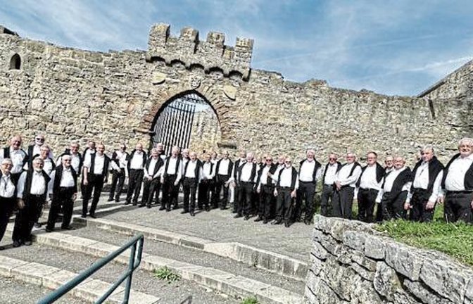 Der MPC 2000 bei der Ruine Löffelselz in Mühlacker. Foto: p