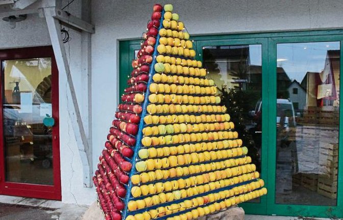 Bei Obstbau Mauch in Ensingen wird aus Äpfeln und Lichterketten im Handumdrehen ein modischer Weihnachtsbaum.  Foto: Rostek