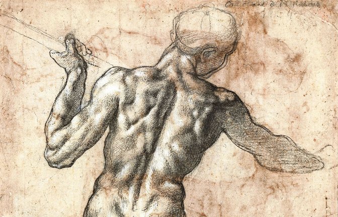Von solchen Muckis wird In vielen Fitnessstudios geträumt:  Michelangelo hat mit seinen Akten ein Bild des Mannes geprägt, das derzeit wieder Konjunktur hat.<span class='image-autor'>Foto: Albertina, Wien</span>