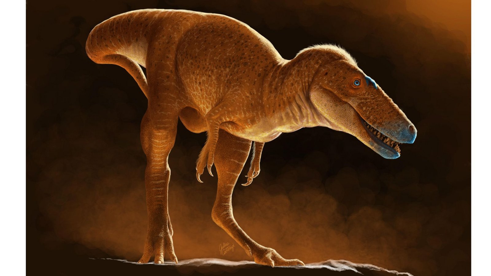 Khankhuuluu mongoliensis ist ein wichtiges Bindeglied in der Tyrannosaurier-Evolution vom Leichtgewicht zum Koloss.Foto: Julius Csotonyi Khankhuuluu mongoliensis ist ein wichtiges Bindeglied in der Tyrannosaurier-Evolution vom Leichtgewicht zum Koloss.Foto: Julius Csotonyi