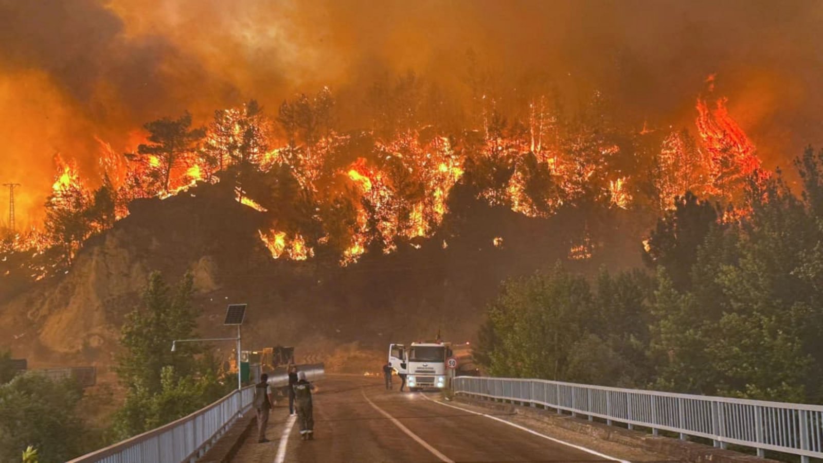 Ein Waldbrand wütete im Juli in einem Waldgebiet in der Nähe des Dorfes Cavuslar im Bezirk Karabuk im Nordwesten der Türkei.Ridvan Bostanci/IHA/dpa Ein Waldbrand wütete im Juli in einem Waldgebiet in der Nähe des Dorfes Cavuslar im Bezirk Karabuk im Nordwesten der Türkei.Ridvan Bostanci/IHA/dpa