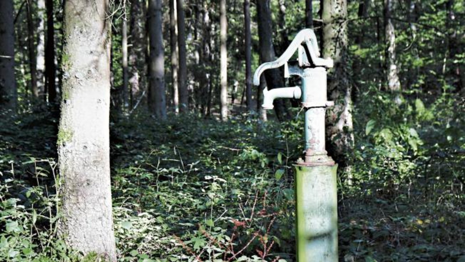 „Wenn es weiterhin bei uns nicht regnet, hilft nur eins: eine Pumpstation wie hier in Gündelbach“, schreibt Rudi Thalhäuser zu seinem Foto.