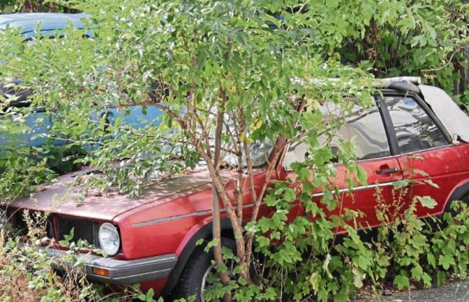Gilt das noch als Auto oder handelt es sich schon um einen Teil des Gebüschs? Das fragt man sich unwillkürlich bei diesem Anblick mitten in Illingen.  Foto: Banholzer