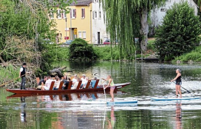 Achtung Gegenverkehr! Reger Betrieb auf der Enz in Vaihingen.  Foto: Arning