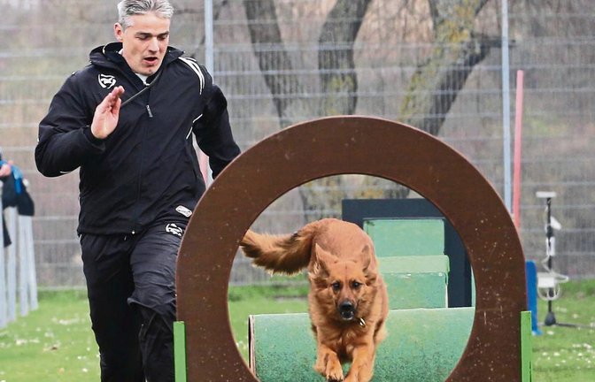 Beinahe gleichauf absolvieren Michael Hilß vom gastgebenden VdH Iptingen und seine Luna den Hindernisparcours. Foto: Küppers