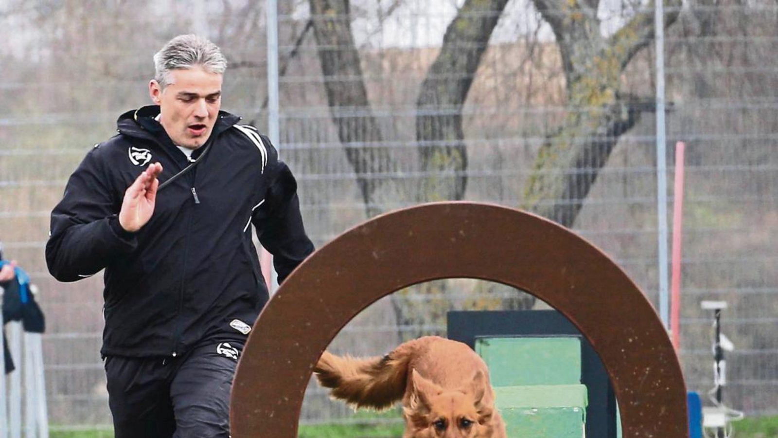 Beinahe gleichauf absolvieren Michael Hilß vom gastgebenden VdH Iptingen und seine Luna den Hindernisparcours. Foto: Küppers Beinahe gleichauf absolvieren Michael Hilß vom gastgebenden VdH Iptingen und seine Luna den Hindernisparcours. Foto: Küppers