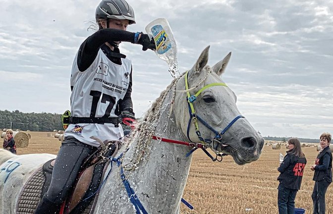 Kühlen Kopf bewahren: Finnja Röhm begießt Heronimo beim 80-Kilometer-Ritt in England mit erfrischendem Wasser. Foto: privat