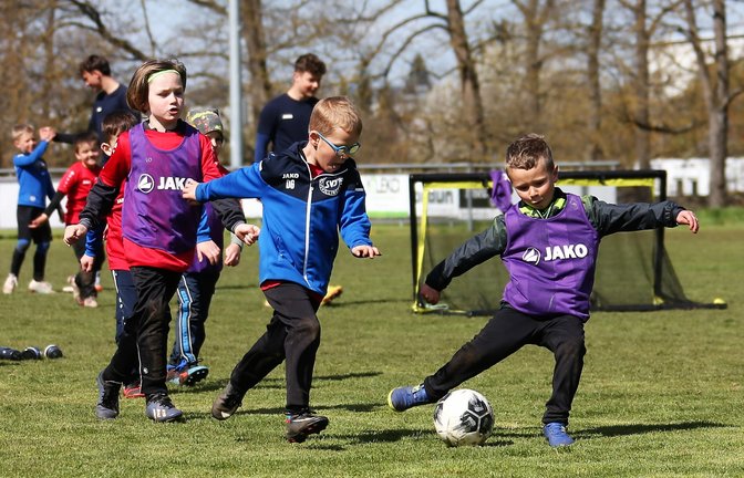 Erst im Parcours, dann in der Box und schließlich beim freien Spielen – das 15. Fußball-Jugendcamp beim SV Illingen ist gut angekommen. <span class='image-autor'>Foto: Küppers</span>
