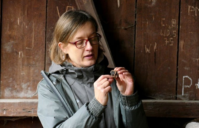 Katharina Krieglsteiner führt mit ihrem Mann eine Pilzschule und gibt auch Kurse für Anfänger.<span class='image-autor'>Foto: &nbsp;</span>