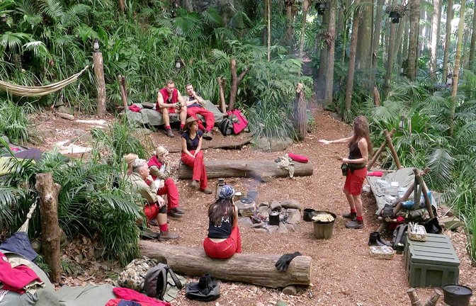 Die Promis kämpfen im „Dschungelcamp“ von RTL um 100.000 Euro. Doch nach und nach scheiden sie aus.<span class='image-autor'>Foto: RTL</span>