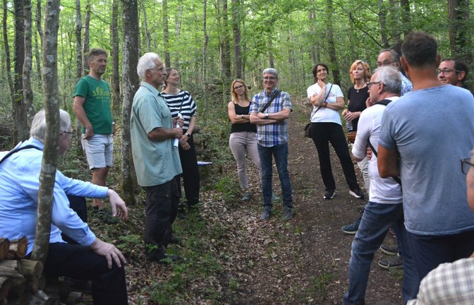 Kommunalpolitik im Wald: Der Gemeinderat Illingen ist mit Revierleiter Rolf Esslinger unterwegs. <span class='image-autor'>Foto: Stahlfeld</span>