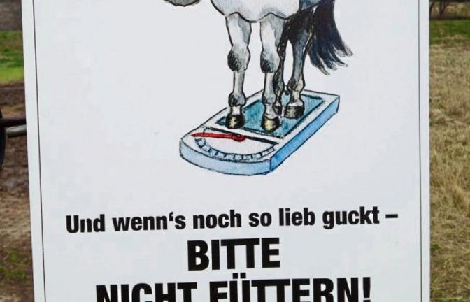 An einer Pferdekoppel entdeckt. Foto: Rößler