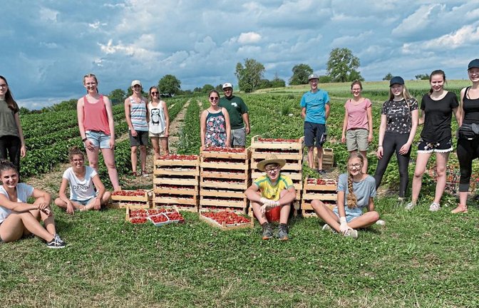 Die jungen Helfer aus Enzweihingen und Großglattbach mitsamt der „Ernte“.  Foto: Pfisterer
