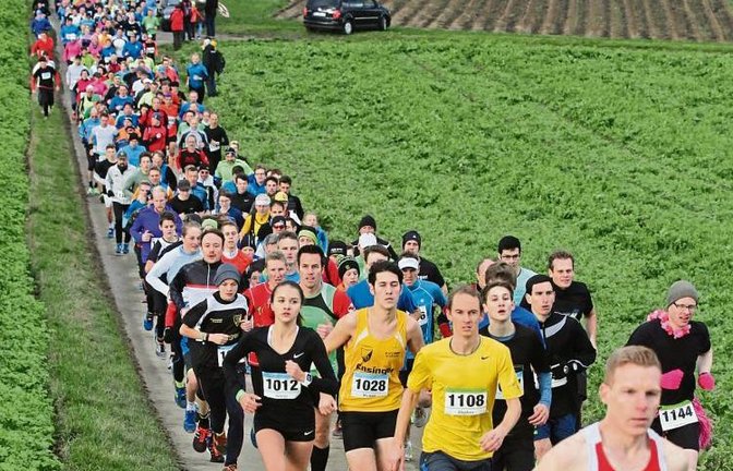 Dicht gedrängt schleppen sich die Läufer nach dem Start den Anstieg hoch. Insgesamt muss dieser beim Einsteigerlauf zweimal und beim Panoramalauf dreimal bewältigt werden. Fotos: Nachreiner